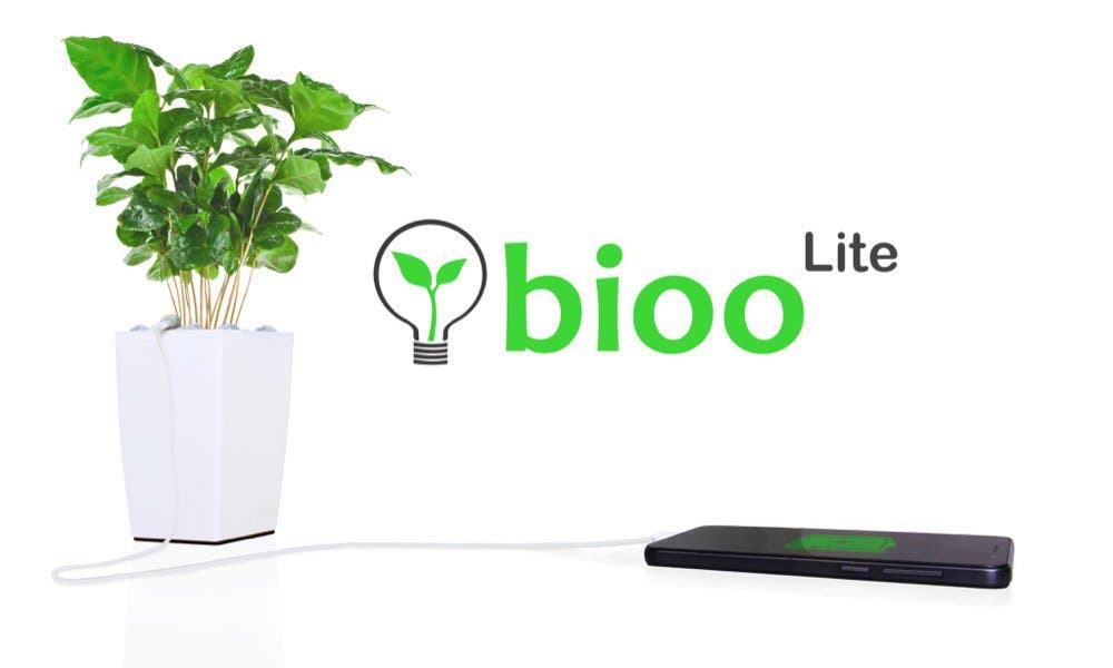 Bioo plant battery