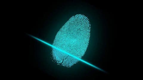 BOE fingerprint