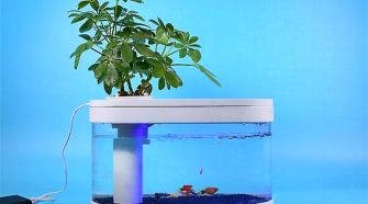 Xiaomi Fish Tank