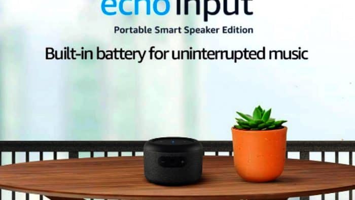 Echo Input