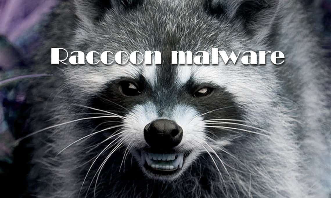 raccoon.jpg