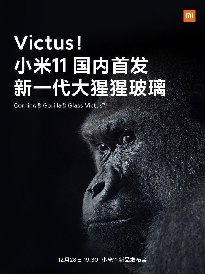 Xiaomi Mi 11 Corning Gorilla Glass 7