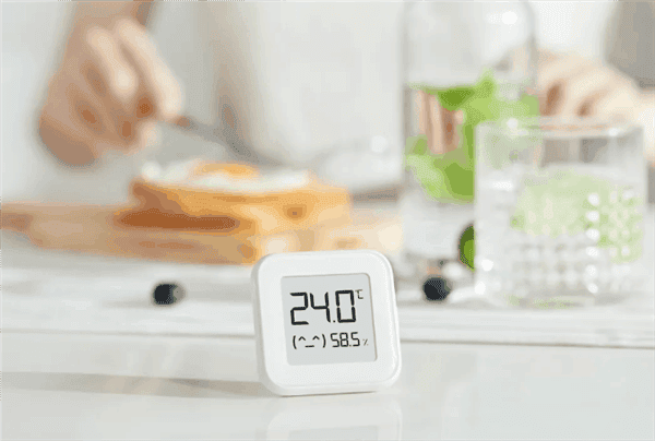 Xiaomi Thermometer And Hygrometer