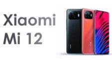 Xiaomi Mi 12 series