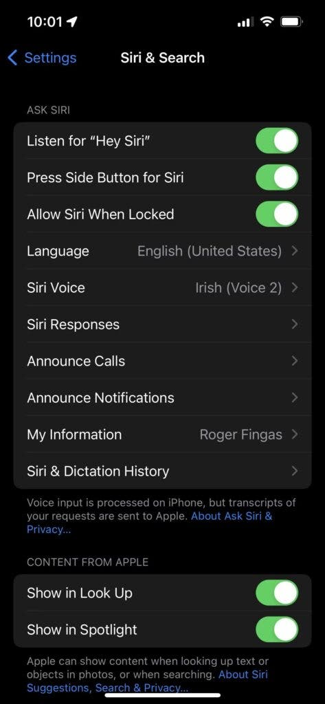 iPhone Siri and Search