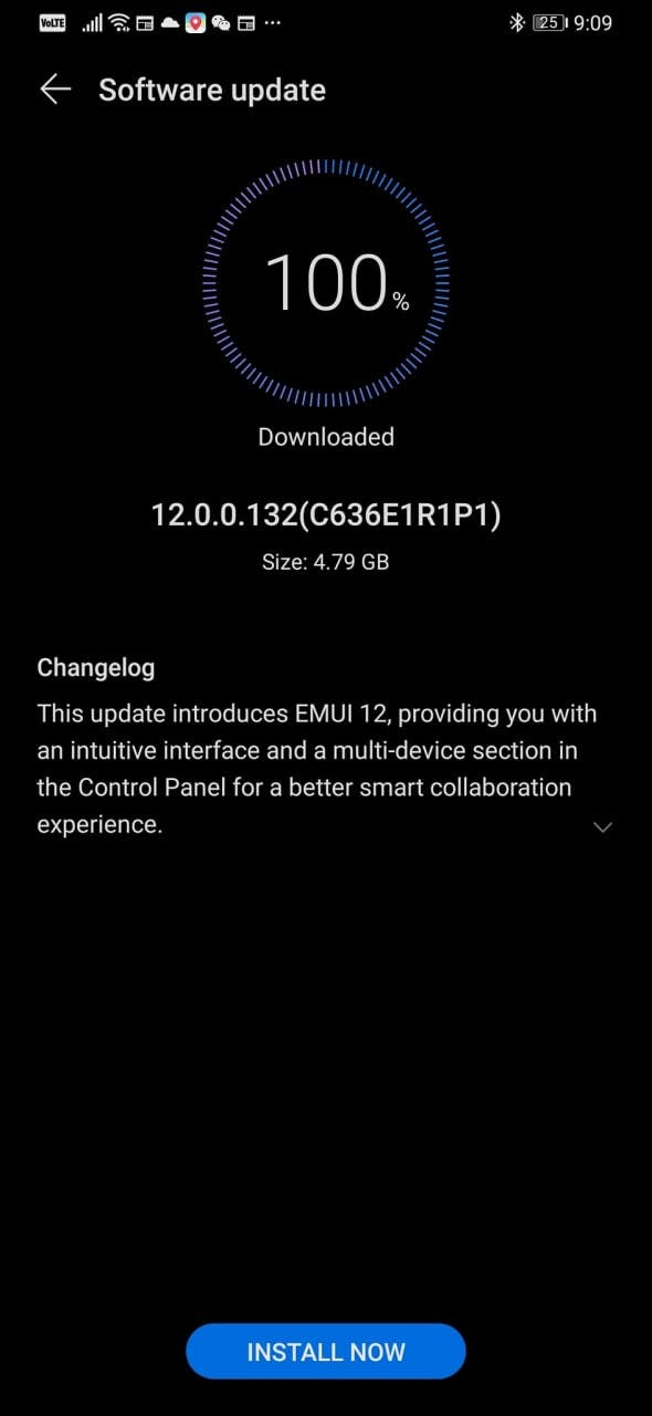 Huawei EMUI 12 P30