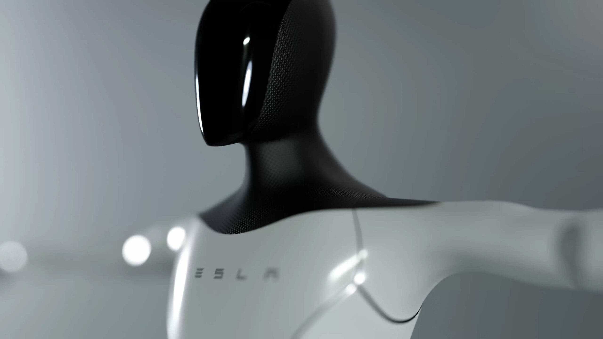 Robot tesla Tesla's Crazy