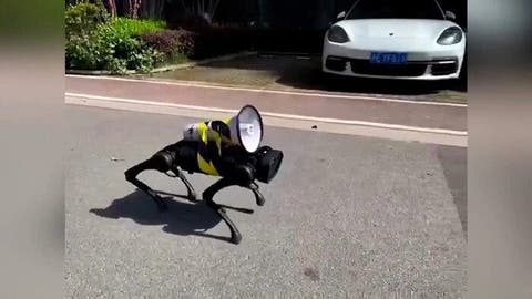 Robot dogs