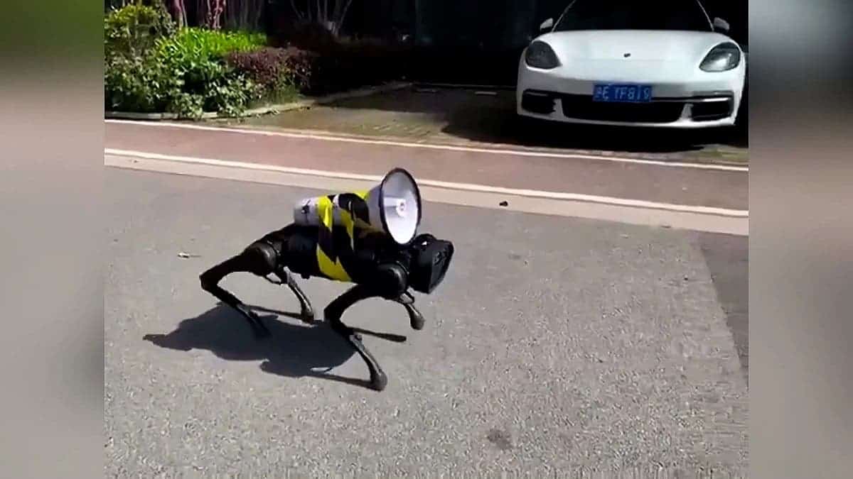 China: Robot dogs deliver health instructions - Gizchina.com