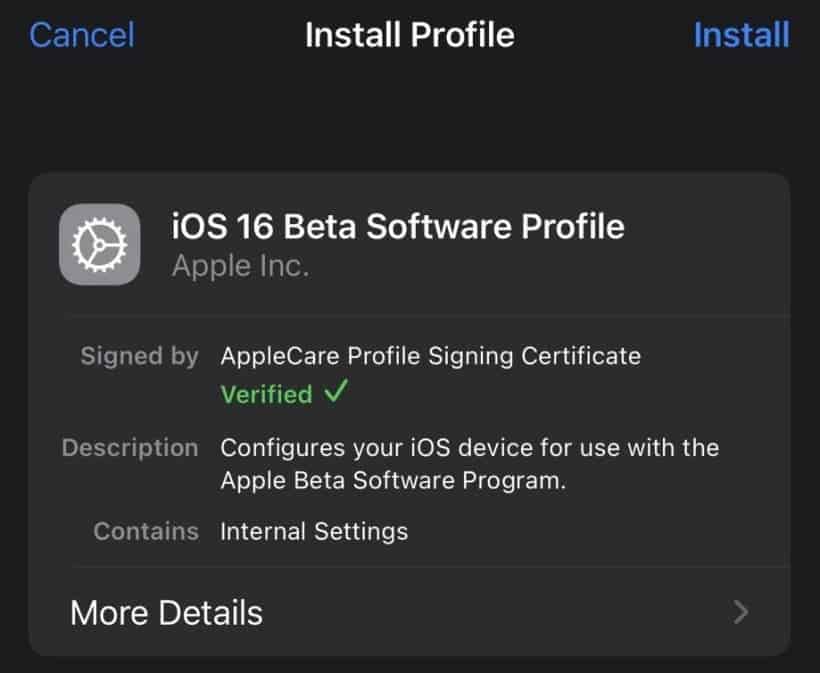 iOS 16 Beta description file