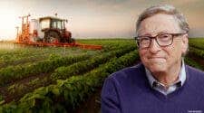 Bill Gates farmland