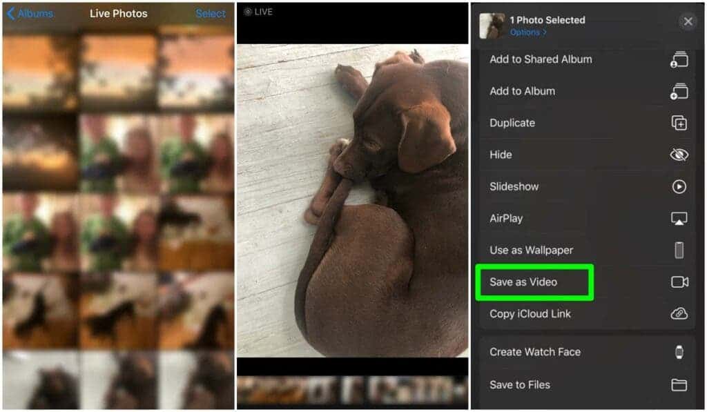 How To Post A Live Photo On Instagram - Save Setting