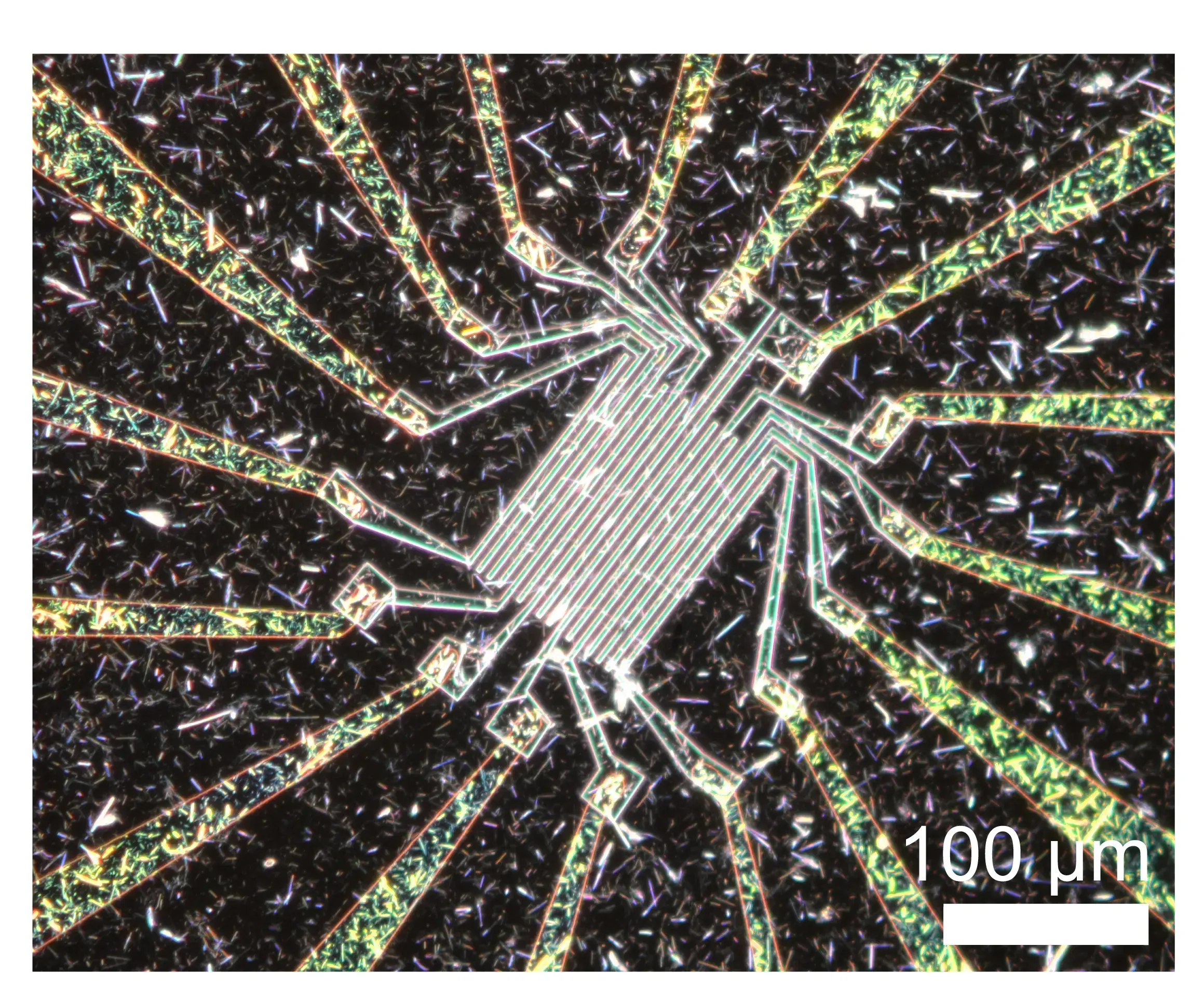 nanowire network