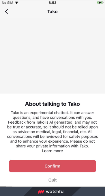 TikTok AI Chatbot
