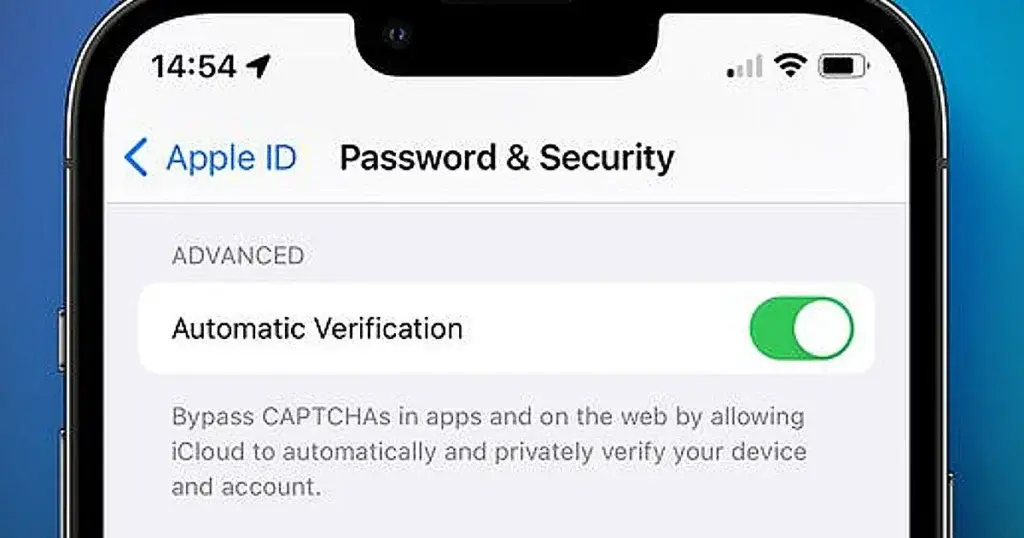 Website CAPTHAs Automatic Verification