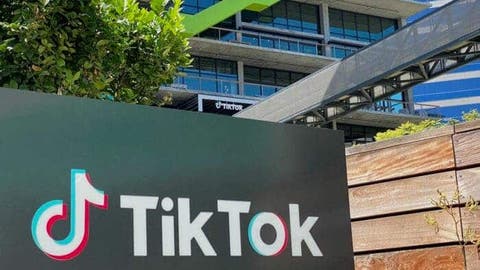 TikTok introduces text posts