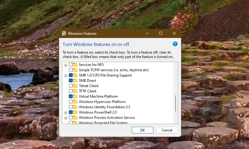 Windows 11 Optimization